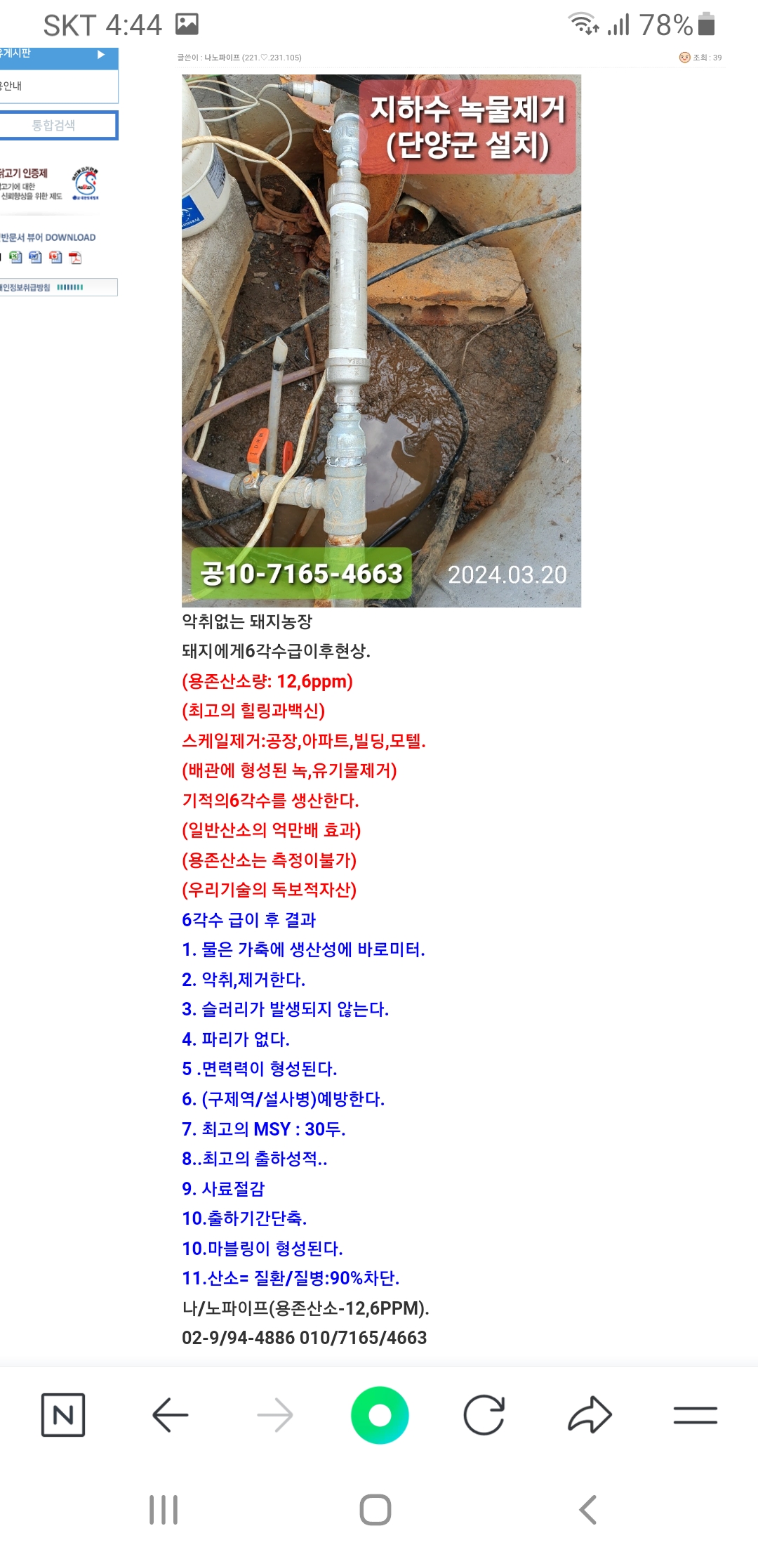 우리돼지 (2).jpg