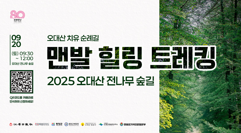 오대산 치유 순례길 2025 오대산 전나무 숲길 맨발 힐링 트레킹
